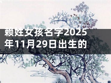 赖姓女孩名字2025年11月29日出生的