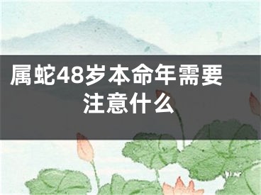 属蛇48岁本命年需要注意什么