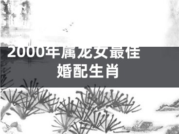 2000年属龙女最佳婚配生肖