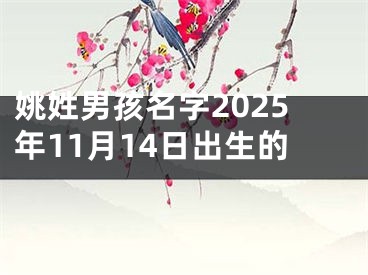 姚姓男孩名字2025年11月14日出生的