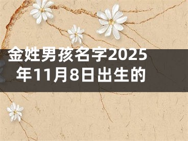 金姓男孩名字2025年11月8日出生的