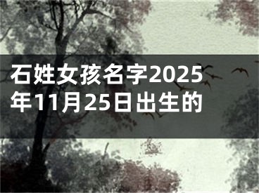 石姓女孩名字2025年11月25日出生的