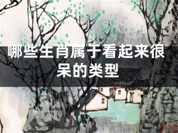哪些生肖属于看起来很呆的类型