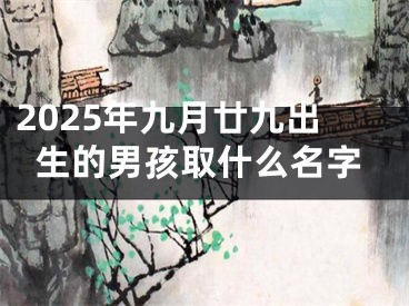 2025年九月廿九出生的男孩取什么名字