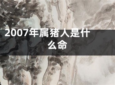 2007年属猪人是什么命