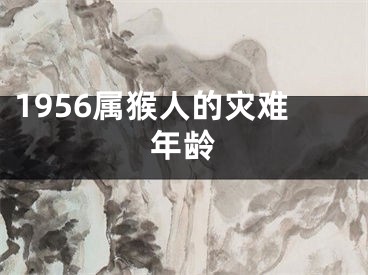 1956属猴人的灾难年龄