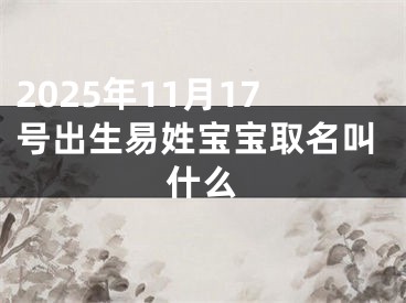 2025年11月17号出生易姓宝宝取名叫什么