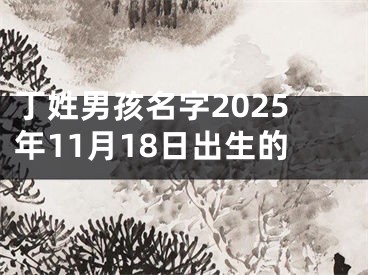 丁姓男孩名字2025年11月18日出生的