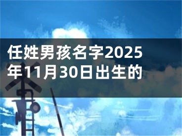 任姓男孩名字2025年11月30日出生的