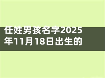 任姓男孩名字2025年11月18日出生的