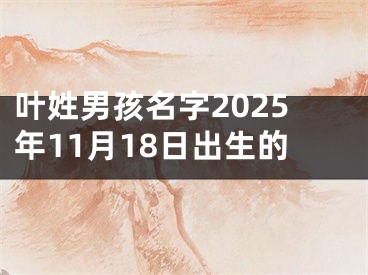 叶姓男孩名字2025年11月18日出生的