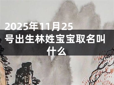 2025年11月25号出生林姓宝宝取名叫什么