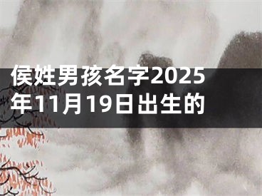 侯姓男孩名字2025年11月19日出生的