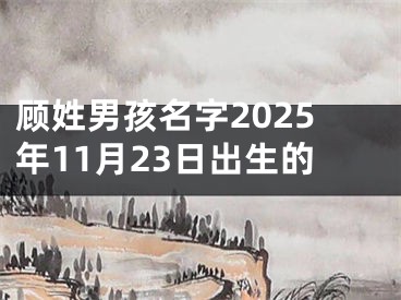 顾姓男孩名字2025年11月23日出生的