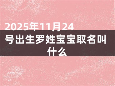 2025年11月24号出生罗姓宝宝取名叫什么