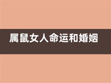 属鼠女人命运和婚姻