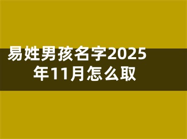 易姓男孩名字2025年11月怎么取