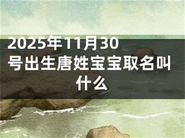 2025年11月30号出生唐姓宝宝取名叫什么