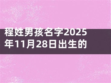 程姓男孩名字2025年11月28日出生的