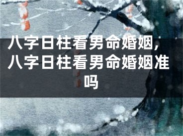 八字日柱看男命婚姻,八字日柱看男命婚姻准吗