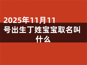 2025年11月11号出生丁姓宝宝取名叫什么