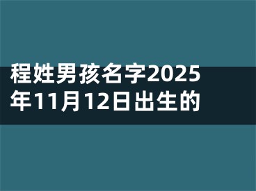 程姓男孩名字2025年11月12日出生的