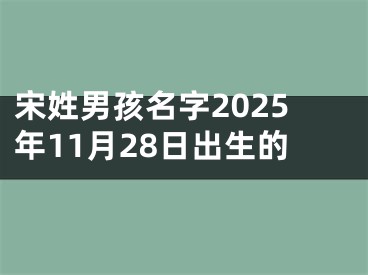 宋姓男孩名字2025年11月28日出生的