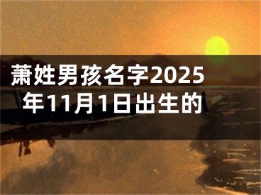 萧姓男孩名字2025年11月1日出生的