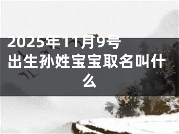 2025年11月9号出生孙姓宝宝取名叫什么