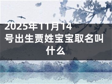 2025年11月14号出生贾姓宝宝取名叫什么