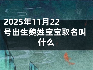 2025年11月22号出生魏姓宝宝取名叫什么