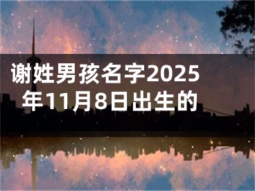 谢姓男孩名字2025年11月8日出生的