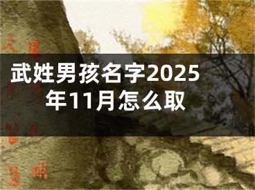 武姓男孩名字2025年11月怎么取