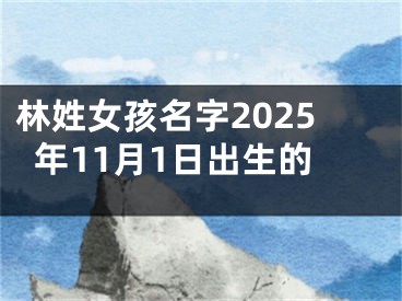 林姓女孩名字2025年11月1日出生的