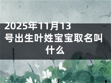 2025年11月13号出生叶姓宝宝取名叫什么