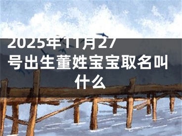 2025年11月27号出生董姓宝宝取名叫什么