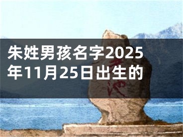 朱姓男孩名字2025年11月25日出生的