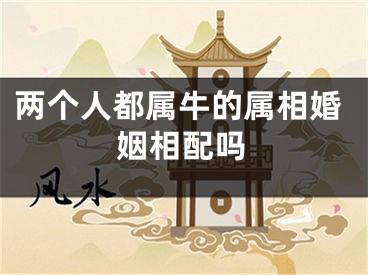两个人都属牛的属相婚姻相配吗