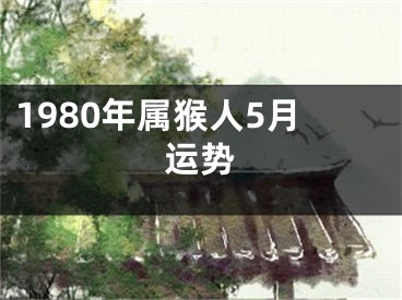1980年属猴人5月运势