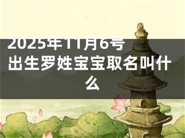 2025年11月6号出生罗姓宝宝取名叫什么