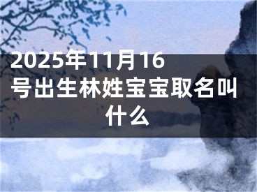 2025年11月16号出生林姓宝宝取名叫什么