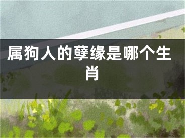 属狗人的孽缘是哪个生肖