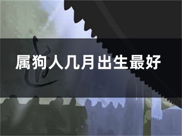 属狗人几月出生最好