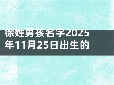 徐姓男孩名字2025年11月25日出生的