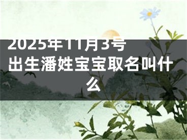 2025年11月3号出生潘姓宝宝取名叫什么