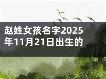 赵姓女孩名字2025年11月21日出生的