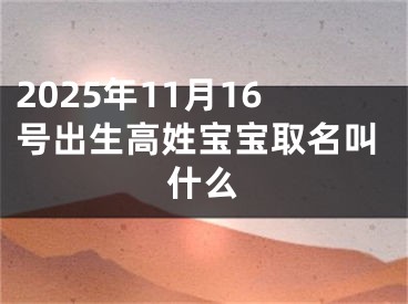 2025年11月16号出生高姓宝宝取名叫什么