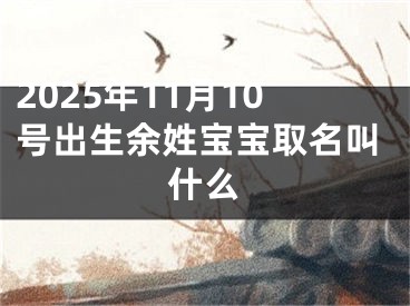 2025年11月10号出生余姓宝宝取名叫什么