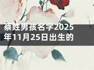 蔡姓男孩名字2025年11月25日出生的