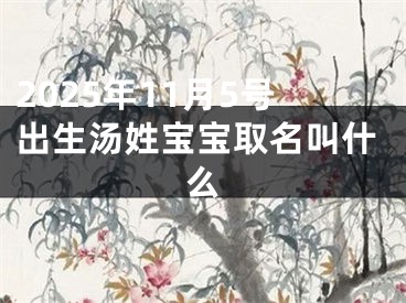 2025年11月5号出生汤姓宝宝取名叫什么